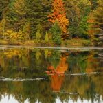 Sterling Ridge Resort | Best Places to Visit for Fall Foliage