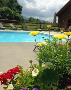 Beautiful summer flowers at the outdoor pool