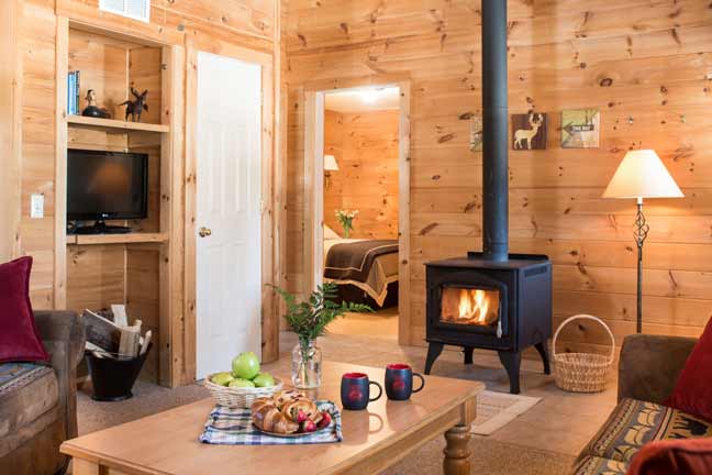 spacious living space in 2 bedroom cabin with fire in wood stove