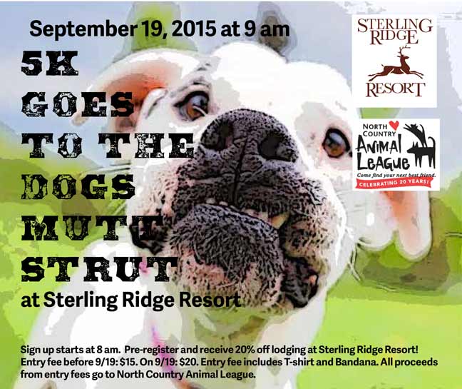 Sterling Ridge Log Cabins goes to the dogs