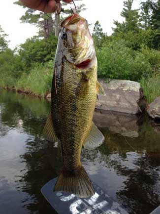 Read more about the article Fishing In Vermont