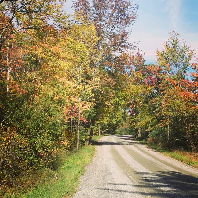 vermont autumn on a dirt back road