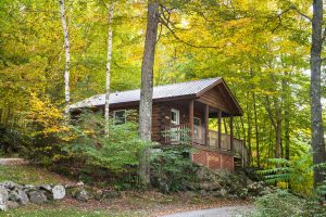 Exterior of a studio cabin during late summer | Sterling Ridge Log Cabin Resort