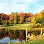 Five Senses of Fall: The Best of Vermont