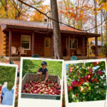 Apple Picking in Vermont: Fall Vacation Favorites