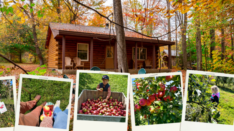 Read more about the article Apple Picking in Vermont: Fall Vacation Favorites