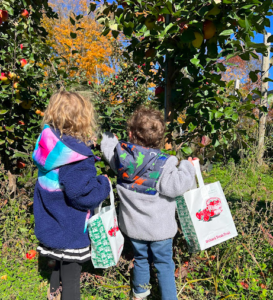 kids apple picking Vermont Peck farm