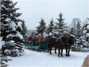 Lajoie Stables Winter Sleigh Rides in Vermont