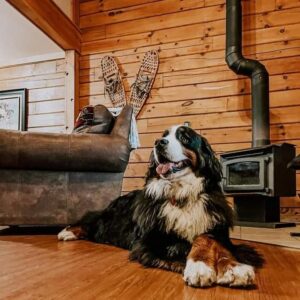 dog friendly cabins stay jeffersonville vermont