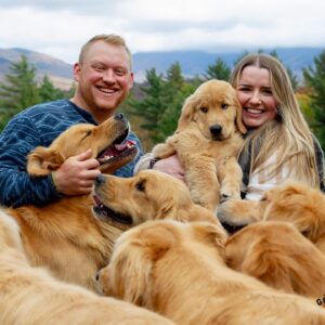 play with golden retriever puppies in vermont